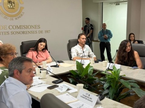 Sesión de trabajo en la Sala de Comisiones
